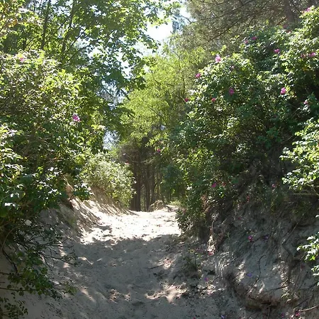 Osrodek Wypoczynkowy Amber Kąty Rybackie