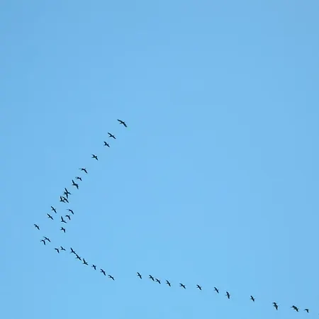 Osrodek Wypoczynkowy Amber بيت خشبي *