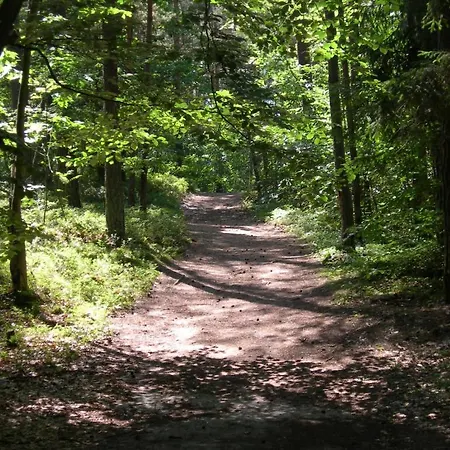 Osrodek Wypoczynkowy Amber بيت خشبي