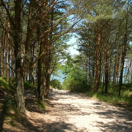 Osrodek Wypoczynkowy Amber *