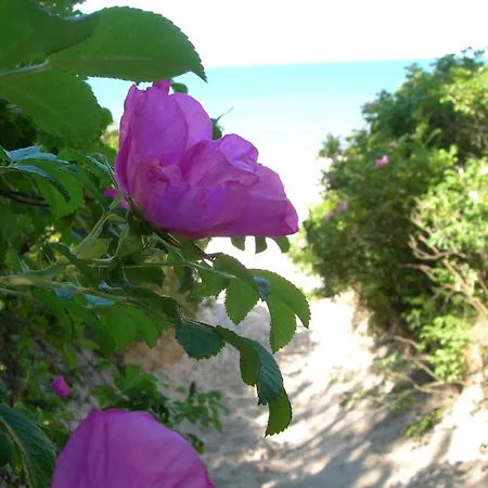 بيت خشبي Osrodek Wypoczynkowy Amber Kąty Rybackie