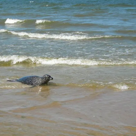 Osrodek Wypoczynkowy Amber بيت خشبي