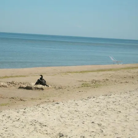 بيت خشبي Osrodek Wypoczynkowy Amber Kąty Rybackie