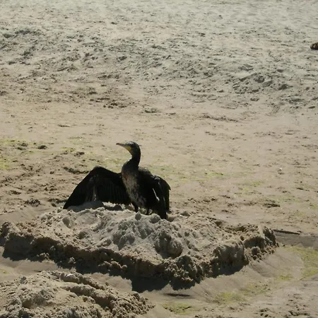 Osrodek Wypoczynkowy Amber * Kąty Rybackie