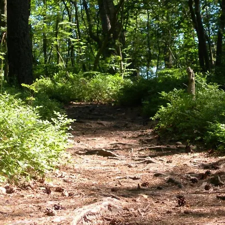 Osrodek Wypoczynkowy Amber بيت خشبي *