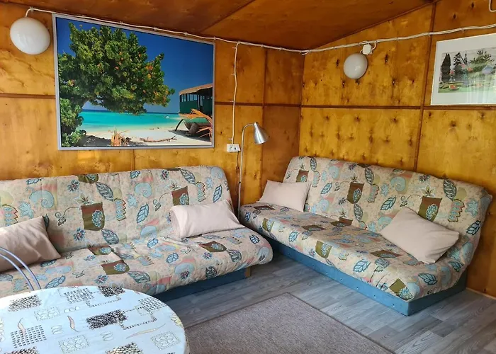 山林小屋 琥珀娱乐中心酒店 *