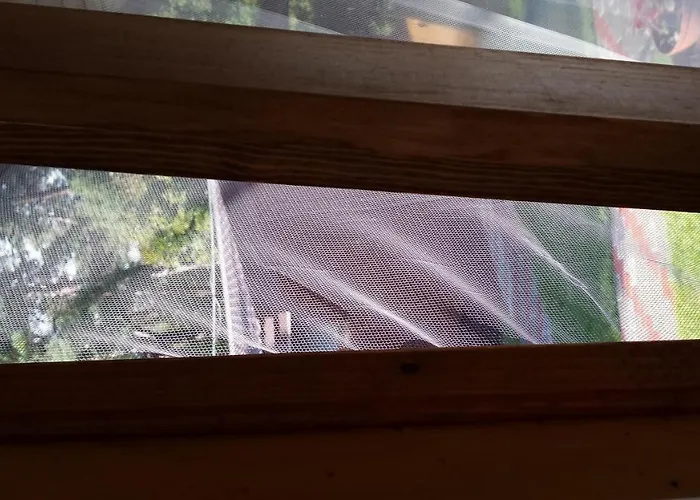 山林小屋 琥珀娱乐中心酒店