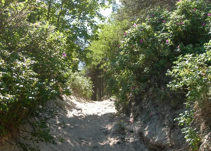 Osrodek Wypoczynkowy Amber Kąty Rybackie