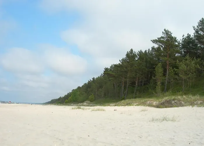 山林小屋 琥珀娱乐中心酒店