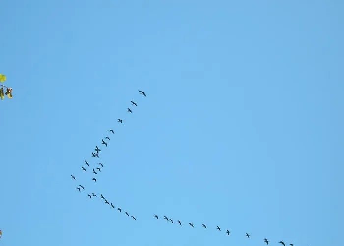 Osrodek Wypoczynkowy Amber Jaktstuga *