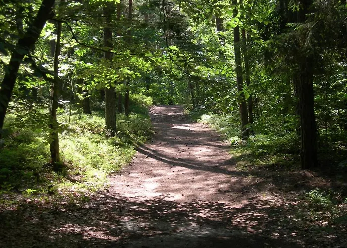 Osrodek Wypoczynkowy Amber Jaktstuga