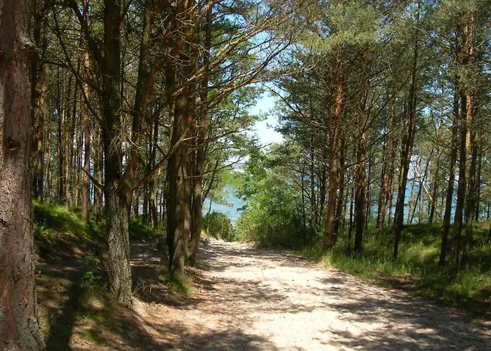 Osrodek Wypoczynkowy Amber *