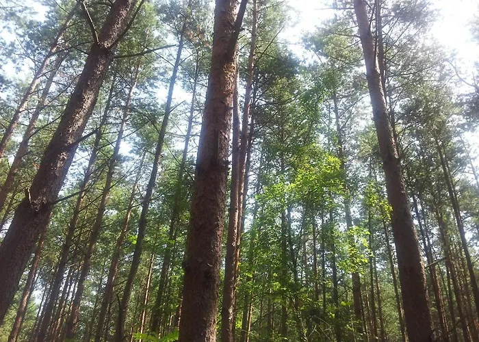 山林小屋 琥珀娱乐中心酒店 Kąty Rybackie