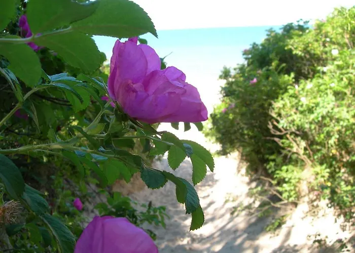 Jaktstuga Osrodek Wypoczynkowy Amber Kąty Rybackie