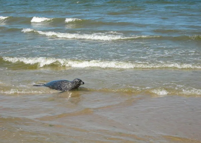 琥珀娱乐中心酒店 山林小屋
