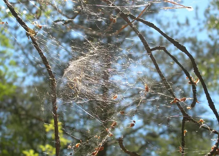 Osrodek Wypoczynkowy Amber Jaktstuga *