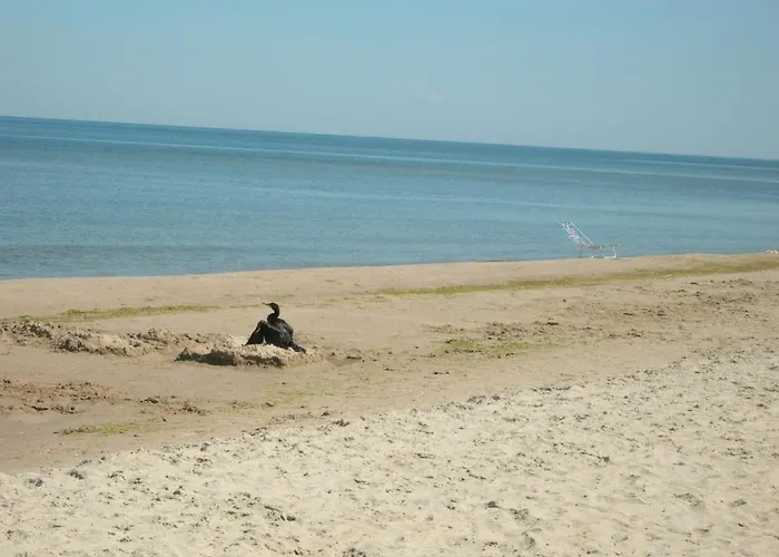 山林小屋 琥珀娱乐中心酒店 Kąty Rybackie