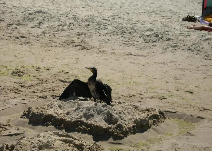 Osrodek Wypoczynkowy Amber * Kąty Rybackie