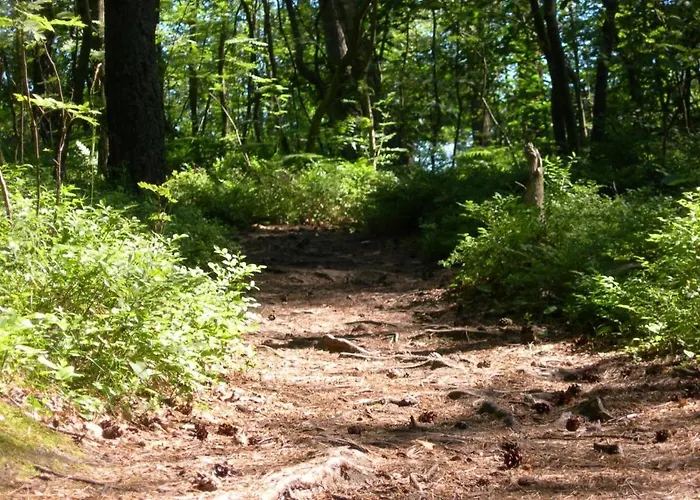 Osrodek Wypoczynkowy Amber Jaktstuga *
