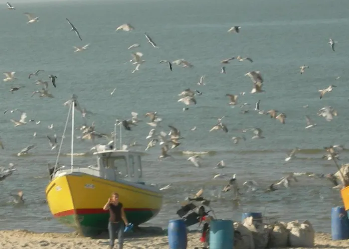 Jaktstuga Osrodek Wypoczynkowy Amber Kąty Rybackie